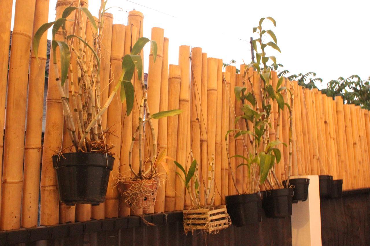 The Wayang Homestay Yogyakarta Exterior foto